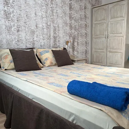 招待所 Paunovi 2*