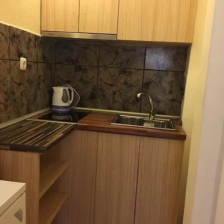Guest house Paunovi