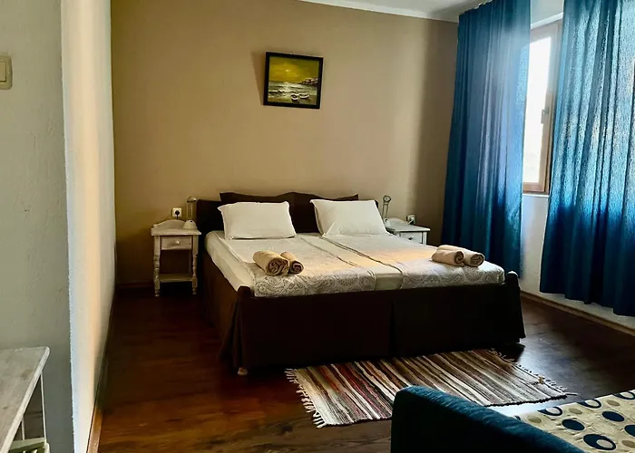 Guest house Paunovi 2*