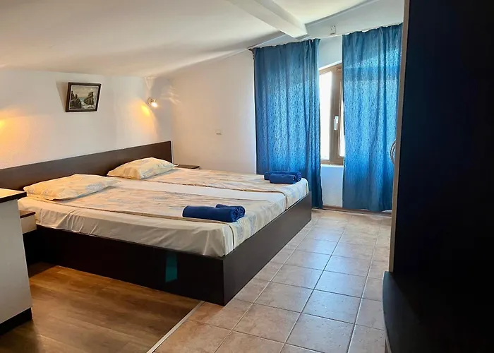 Paunovi Guest house 2*