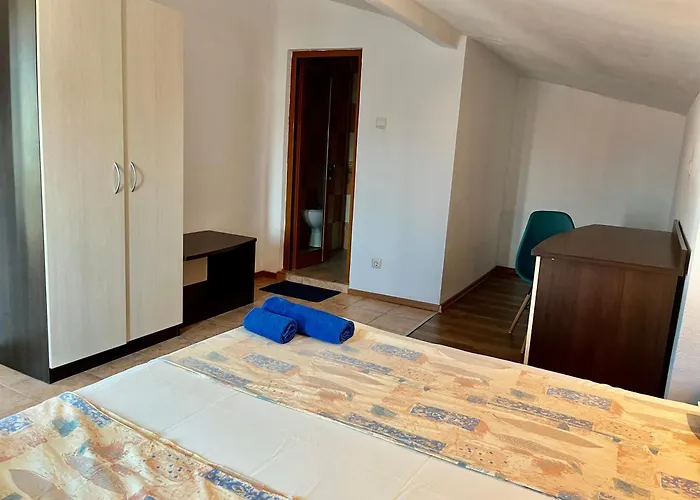 Guest house Paunovi 2*