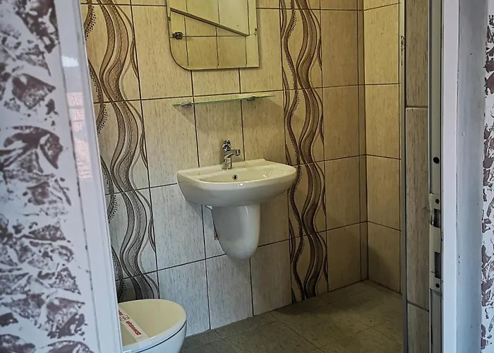 Guest house Paunovi 2*