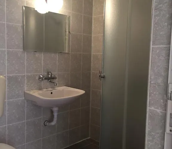 Paunovi Guest house 2*