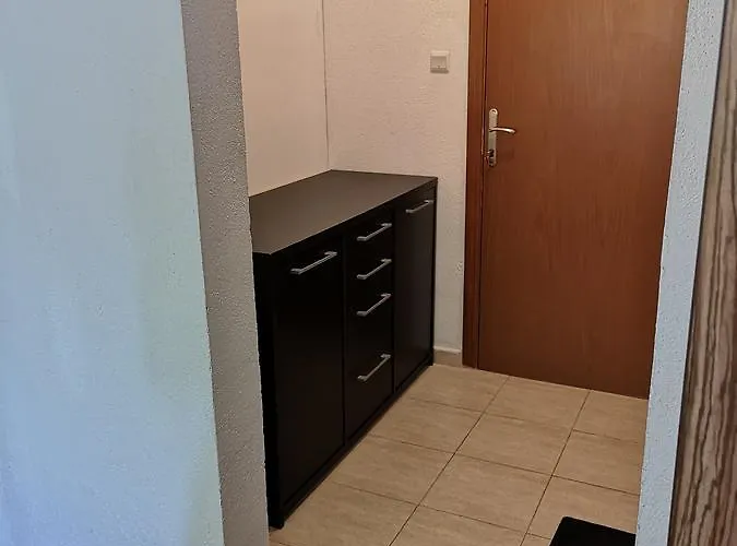 Paunovi Guest house 2*